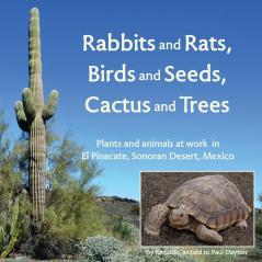 Rabbits and Rats Birds and Seeds Cactus and Trees: Plants and animals at work in El Pinacate Sonoran Desert Mexico