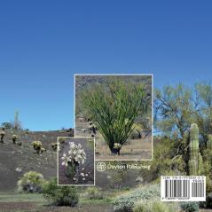 Rabbits and Rats Birds and Seeds Cactus and Trees: Plants and animals at work in El Pinacate Sonoran Desert Mexico