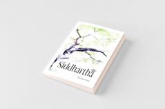 Siddhartha