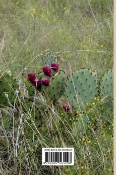 South Texas Experience: Love Letters