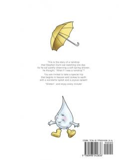 A Day In The Life Of A Raindrop