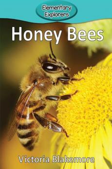 Honey Bees: 6 (Elementary Explorers)