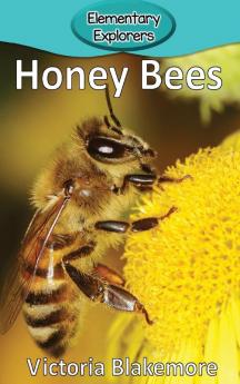 Honey Bees: 6 (Elementary Explorers)