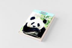 Pandas