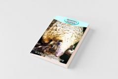 Pangolins