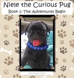 Niele the Curious Pug