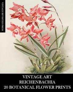 Vintage Art: Reichenbachia 20 Botanical Flower Prints: Flora Ephemera for Framing Home Decor and Collage