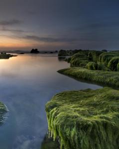 Study Journal - Sing Out Joyfully and Original Songs