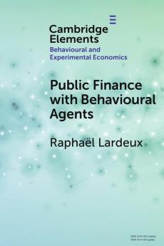 Public Finance with Behavioural Agents