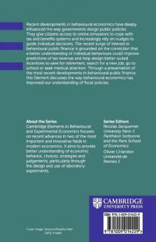Public Finance with Behavioural Agents