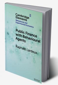 Public Finance with Behavioural Agents