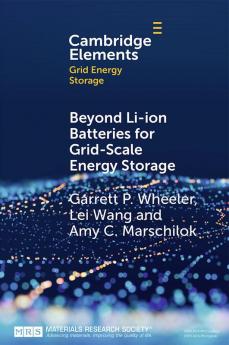 Beyond Li-ion Batteries for Grid-Scale Energy Storage