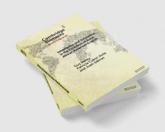 Inheritance and Innovation in the Evolution of Rural African American English