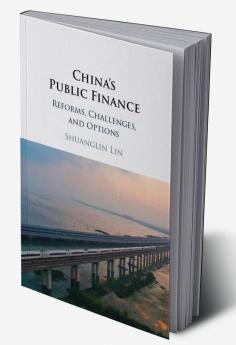 China's Public Finance