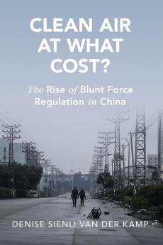 Clean Air at What Cost?