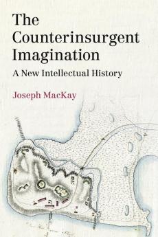 The Counterinsurgent Imagination