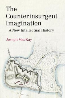 The Counterinsurgent Imagination