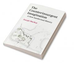 The Counterinsurgent Imagination