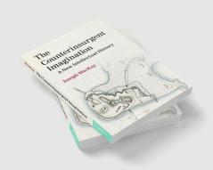 The Counterinsurgent Imagination