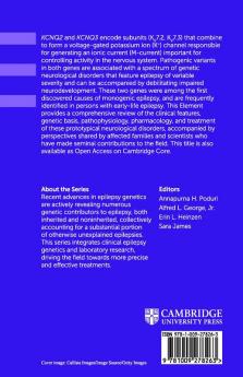 KCNQ2- and KCNQ3-Associated Epilepsy