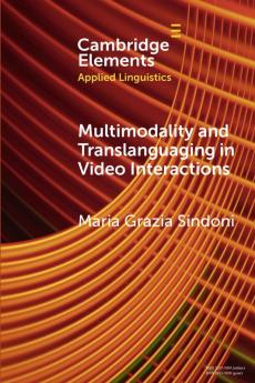 Multimodality and Translanguaging in Video Interactions