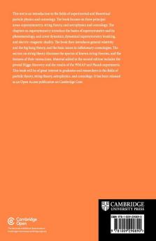 Supersymmetry and String Theory