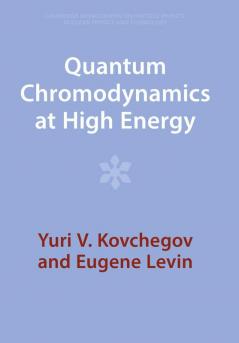 Quantum Chromodynamics at High Energy