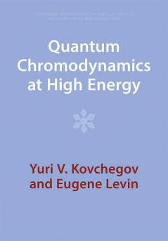 Quantum Chromodynamics at High Energy