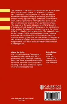 The 1918-20 Influenza Pandemic