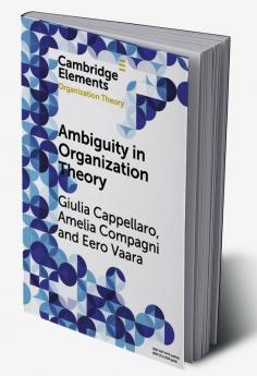 Ambiguity in Organization Theory