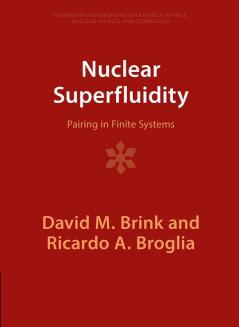 Nuclear Superfluidity