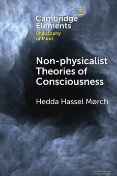 Non-physicalist Theories of Consciousness