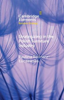 Strategizing in the Polish Furniture Industry