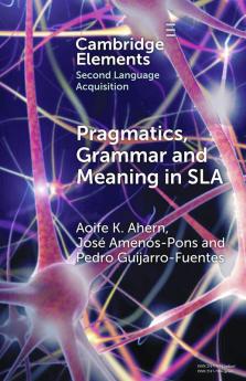 Pragmatics Grammar and Meaning in SLA