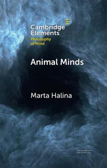 Animal Minds