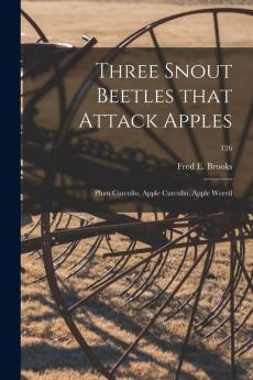 Three Snout Beetles That Attack Apples: Plum Curculio Apple Curculio Apple Weevil; 126