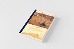 Islam at the Cross Roads a Brief Survey of the Present Position and Problems of the World of Islam