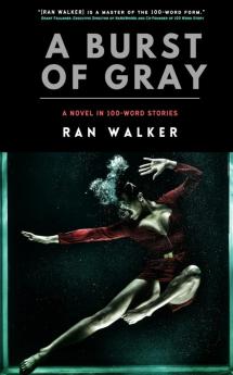 A Burst of Gray: A Novel in 100-Word Stories