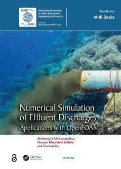 Numerical Simulation of Effluent Discharges