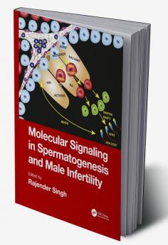 Molecular Signaling in Spermatogenesis and Male Infertility