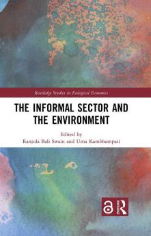 Informal Sector and the Environment