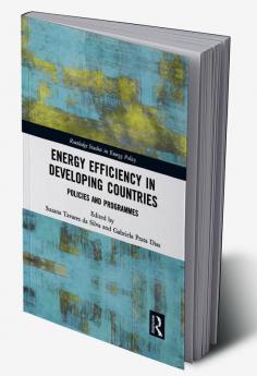 Energy Efficiency in Developing Countries