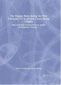 Human Brain during the First Trimester 57- to 60-mm Crown-Rump Lengths