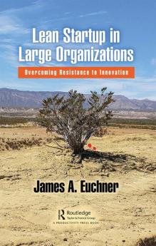 Lean Startup in Large Organizations