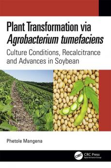 Plant Transformation via Agrobacterium Tumefaciens