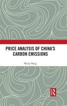 Price Analysis of China's Carbon Emissions