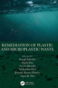 Remediation of Plastic and Microplastic Waste