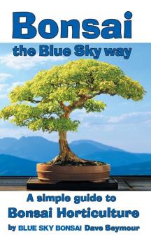 Bonsai the Blue Sky way