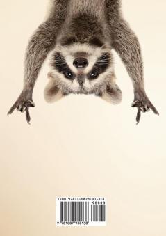 A Raccoon's Story: And Other Short Stories Tales and Poems