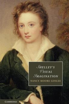 Shelley's Visual Imagination